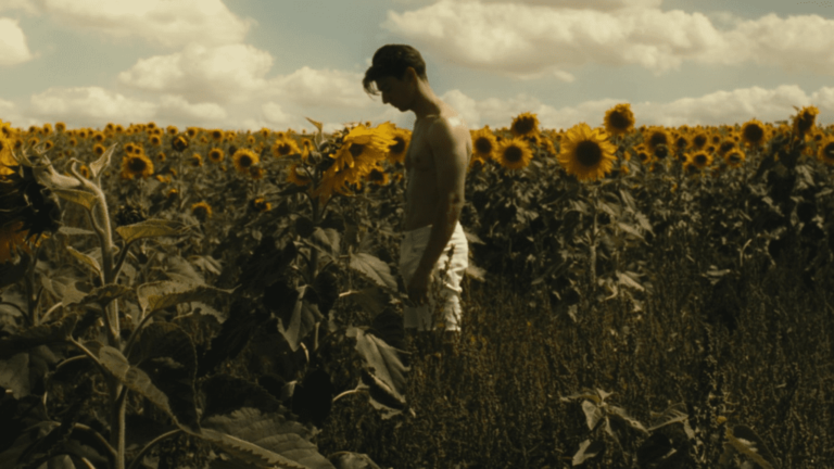 Sunflower Greg King's Film Reviews - The Best Movie Reviews